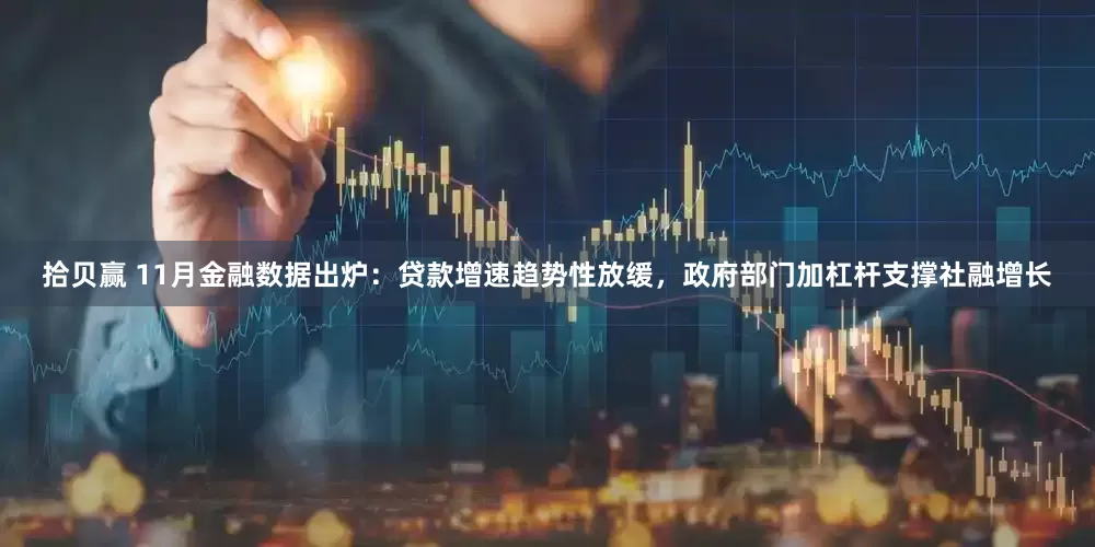 拾贝赢 11月金融数据出炉：贷款增速趋势性放缓，政府部门加杠杆支撑社融增长