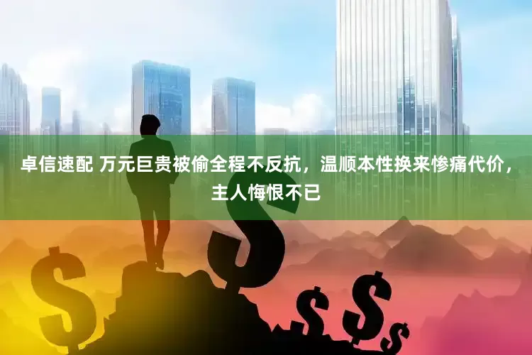 卓信速配 万元巨贵被偷全程不反抗，温顺本性换来惨痛代价，主人悔恨不已