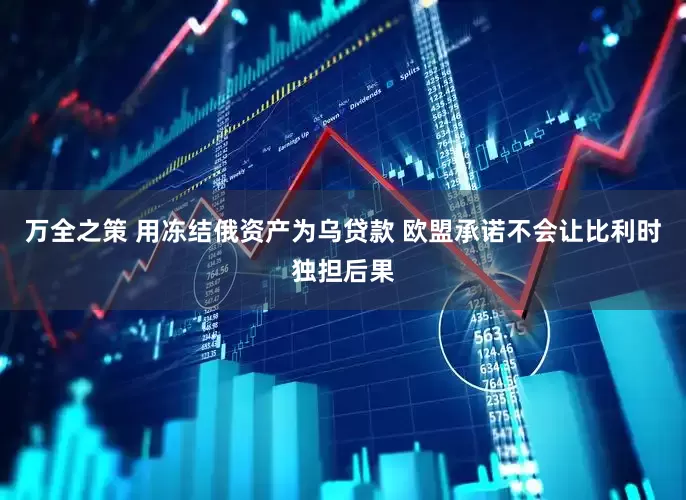 万全之策 用冻结俄资产为乌贷款 欧盟承诺不会让比利时独担后果