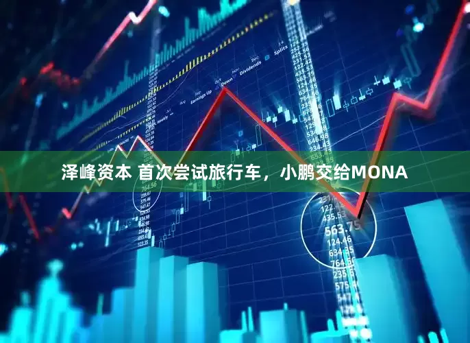 泽峰资本 首次尝试旅行车，小鹏交给MONA